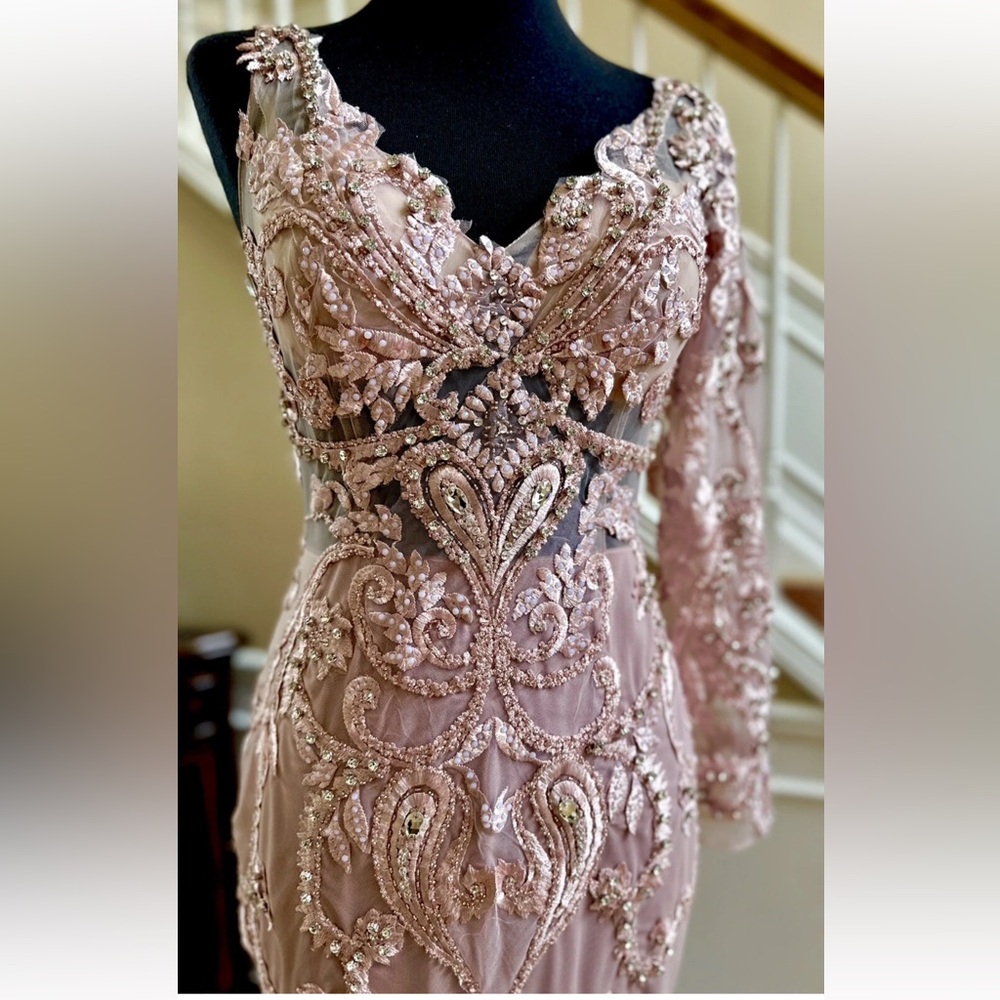 Portia and Scarlett Blush Long Sleeve Feather Fringed Embroidered Gown Size 6 - Picture 9 of 16